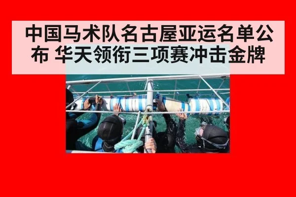 中国马术队名古屋亚运名单公布 华天领衔三项赛冲击金牌